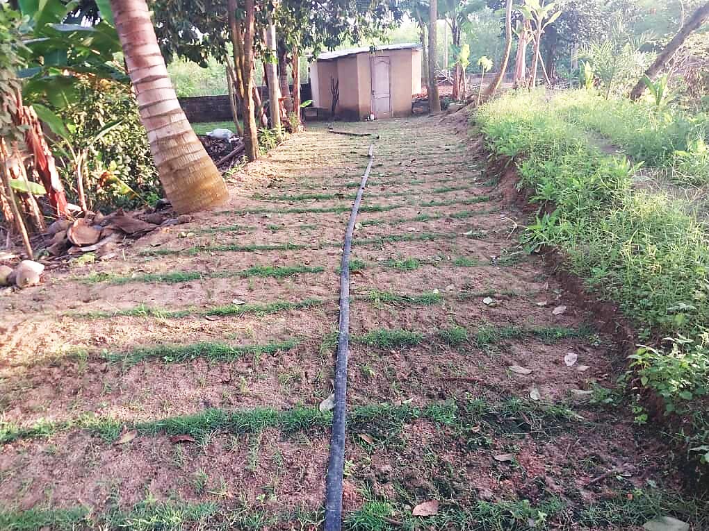 Irrigation